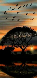 Sunset with silhouetted tree and flying birds.