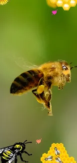 Close-up of a bee flying near honeycombs with a green backdrop.