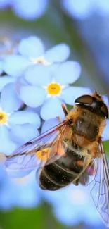 Close-up of bee on blue flowers with vibrant details.