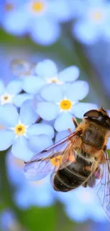 Blue flowers with a bee in nature wallpaper.