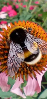 Bee perched atop a vibrant flower in a garden scene.