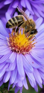 Bee on a vibrant purple flower with detailed petals.