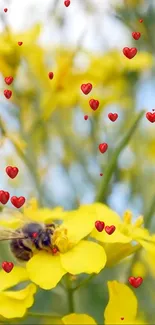 Bee on yellow flower with red hearts wallpaper.