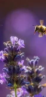 Bees flying over vivid purple flowers, showcasing natural beauty.