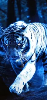 Bengal Tiger Siberian Tiger Tiger Live Wallpaper