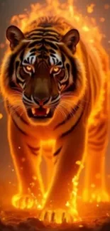 Bengal Tiger Siberian Tiger Tiger Live Wallpaper