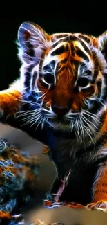 Bengal Tiger Siberian Tiger Tiger Live Wallpaper