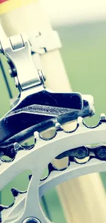 Closeup of bicycle gear and chain with a metallic sheen.