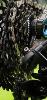 Close-up of a bicycle's gear and chain mechanism.