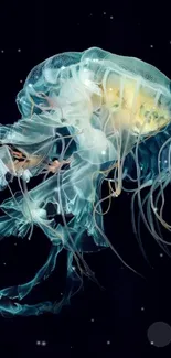 Bioluminescent jellyfish gracefully swimming in dark ocean.