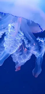 Bioluminescent jellyfish against dark blue ocean background.