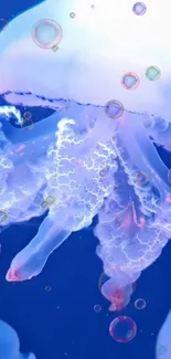 Bioluminescent jellyfish in deep blue ocean setting with glowing details.