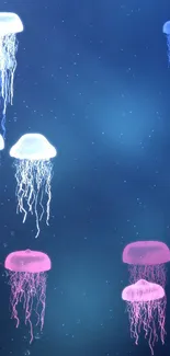 Colorful jellyfish glowing in a blue ocean background wallpaper.