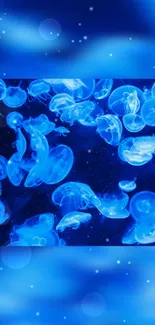 Bioluminescent jellyfish glowing in a deep blue ocean.