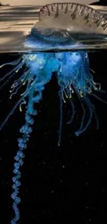 Bioluminescent jellyfish glowing in dark blue waters, ideal for a phone wallpaper.