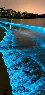 Bioluminescent waves glowing under the night sky on a beach.