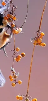 Bird with orange berries on a branch