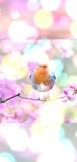 Robin on a cherry blossom branch with bokeh lights.