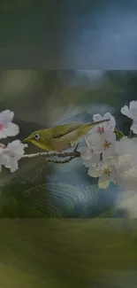 Bird perched among soft white blossoms against a serene background.