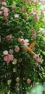 Colorful bird amidst lush pink roses in garden wallpaper.