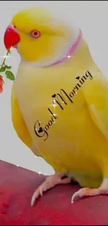 Yellow parrot with flower and Good Morning text on a mobile wallpaper.