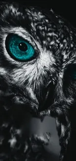 Bird Beak Owl Live Wallpaper