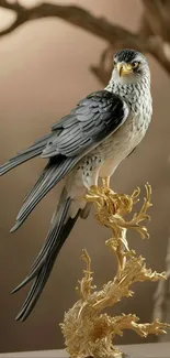 Bird Beak Vertebrate Live Wallpaper