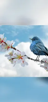 Bird Blue Branch Live Wallpaper