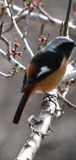 Colorful bird perched on a tree branch, surrounded by nature.