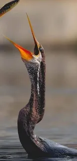 Bird catching fish over water, vivid wildlife display.