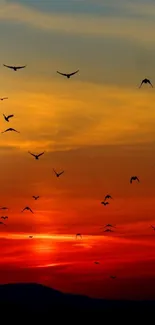 Sunset sky with birds flying against a vibrant orange-red horizon.