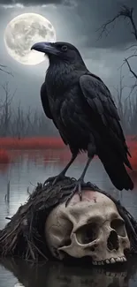 Bird Crows American Crow Live Wallpaper