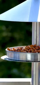 Bird feeder surrounded by lush greenery.