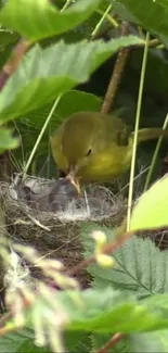 Yellow bird feeding chick in green nest surrounded by lush foliage.