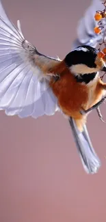 Bird in flight with spread wings on mobile wallpaper.