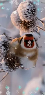 Colorful bird perched on snowy thistle branches with snowflakes.