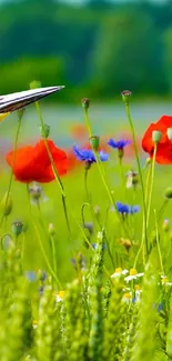 A bird among vibrant wildflowers in a lush green meadow.