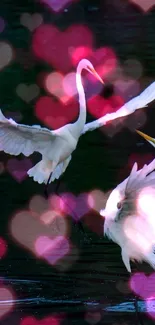 Bird Light Purple Live Wallpaper