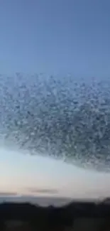 Birds forming patterns under a blue evening sky.