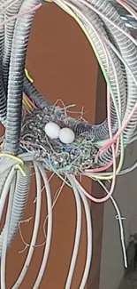 Bird's nest with eggs surrounded by colorful wires.