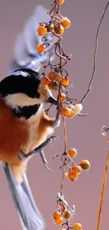 Bird perched on a branch with orange berries.