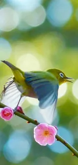 Bird on blooming branch with bokeh background