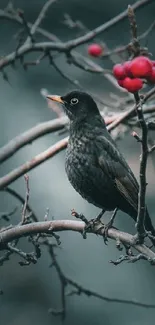 A bird on a branch with berries, set against a soft blue background.