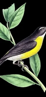 Bird perched on branch with green leaves, vivid illustration.