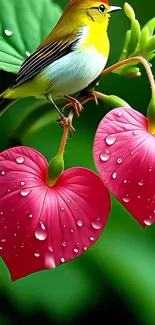 Colorful bird on dewy heart-shaped flowers with green background.