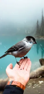 A bird perched on a hand by a turquoise lake with misty trees in the background.