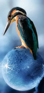 Kingfisher perched on an icy blue sphere in a frosty environment.