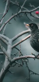 A bird perched on a branch with red berries in a winter setting.