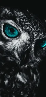 Bird Owl Beak Live Wallpaper