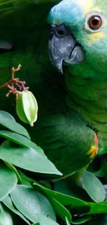 A vibrant green parrot nestled in lush greenery with striking blue and yellow highlights.